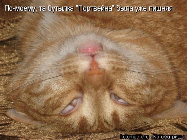 (604x453, 65Kb)