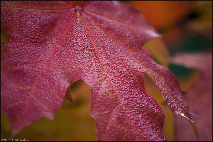  (699x465, 161Kb)