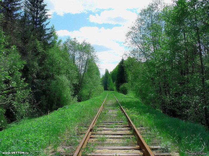  (700x525, 183Kb)
