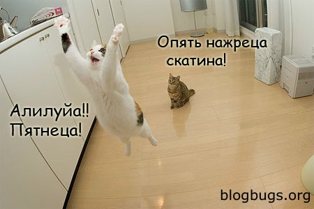  (450x300, 38Kb)