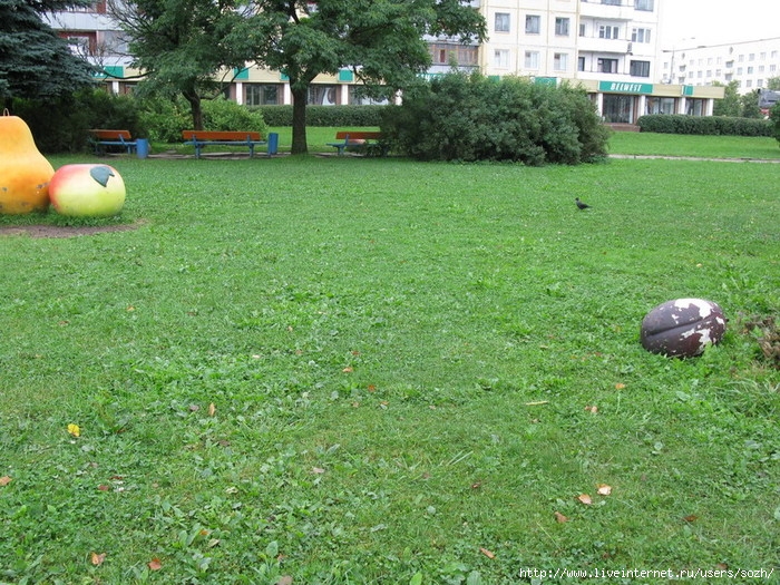  (700x525, 172Kb)