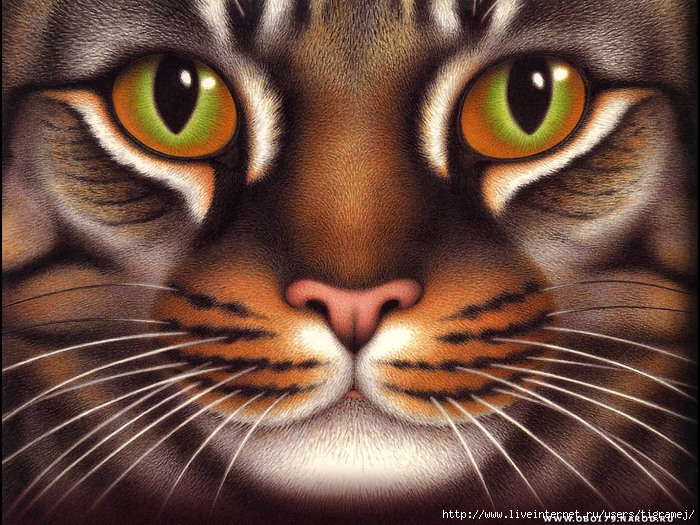  (700x525, 187Kb)