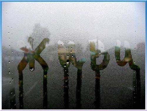  (500x377, 130Kb)