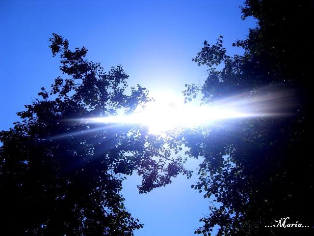  (640x480, 75Kb)