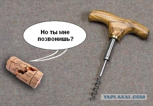  (500x347, 55Kb)