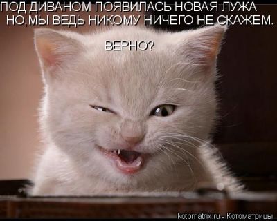  (400x320, 23Kb)
