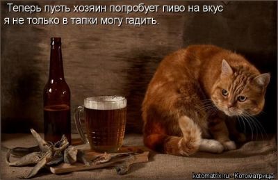  (400x259, 21Kb)