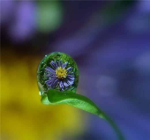  (520x485, 21Kb)