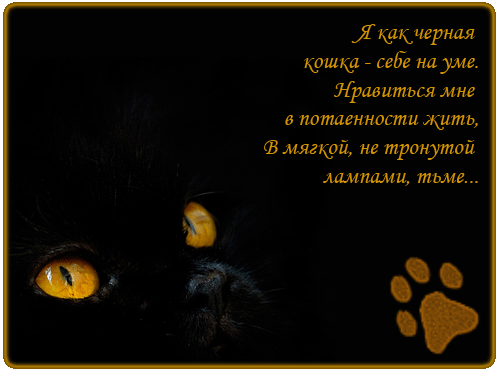  (500x373, 45Kb)