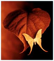  (178x200, 21Kb)