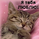  (128x128, 19Kb)
