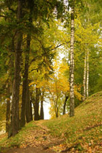  ����� �������� �������� 