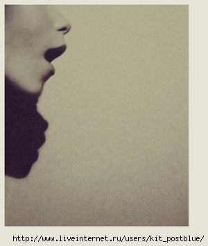  (300x354, 11Kb)