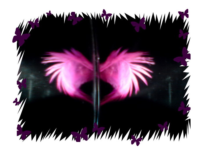  (700x550, 78Kb)