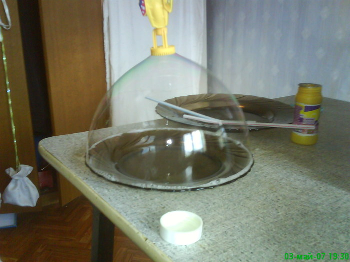 DSC00903 (700x525, 68Kb)