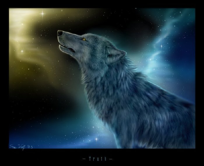 2801112_19667987 (700x569, 43Kb)