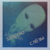  (100x100, 26Kb)
