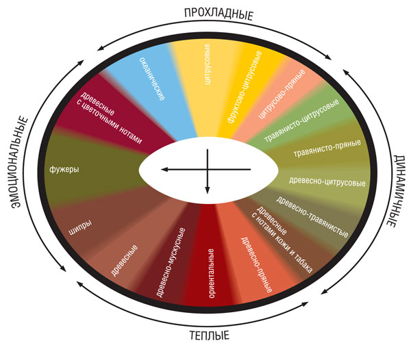 Виды запахов. Карта ароматов. Типы запахов. Карта ароматов парфюмерии. Карта запахов.