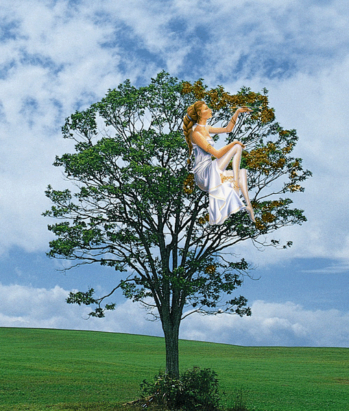  (509x600, 725Kb)