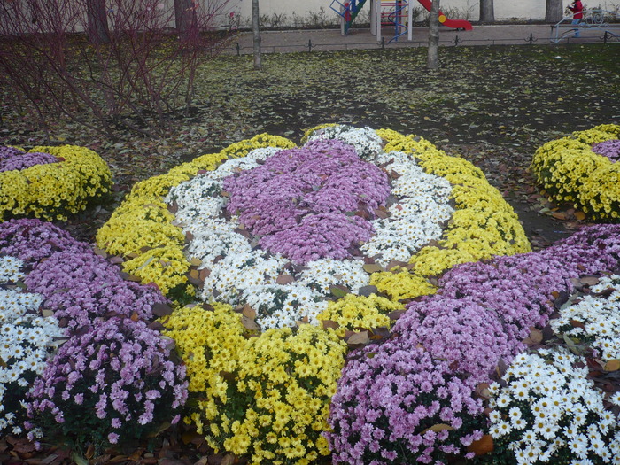  (700x525, 226Kb)