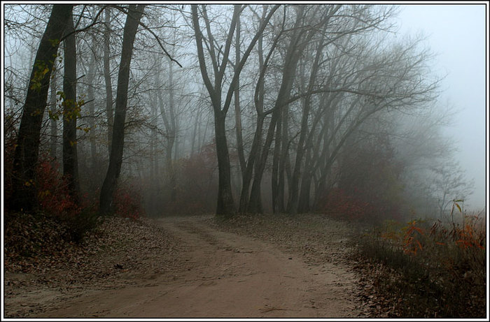  (700x461, 97Kb)