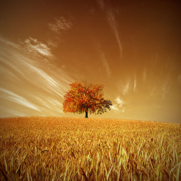  (600x600, 100Kb)