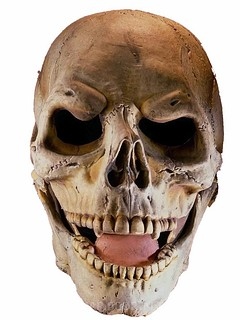  (240x320, 32Kb)