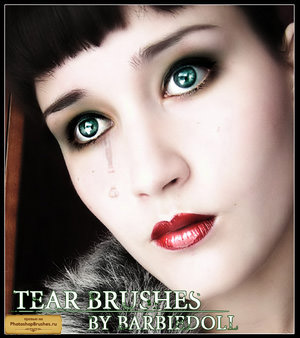 1224798105_tear_brushes_by_barbiedoll (300x338, 47Kb)