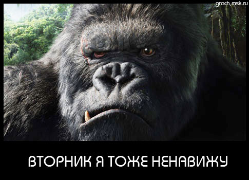  (485x350, 40Kb)