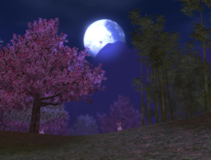  (700x533, 40Kb)