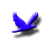  (100x100, 9Kb)