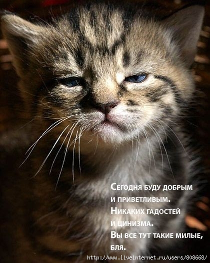  (420x525, 131Kb)