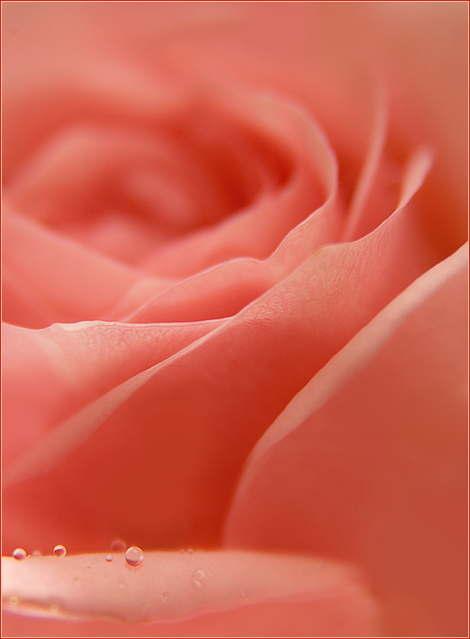  (515x700, 148Kb)