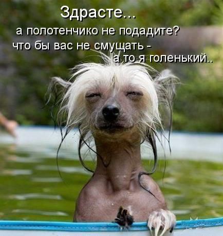  (434x459, 37Kb)
