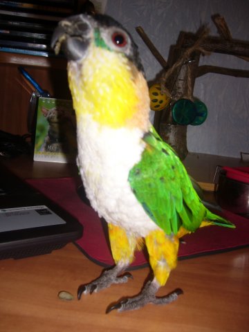  (360x480, 29Kb)
