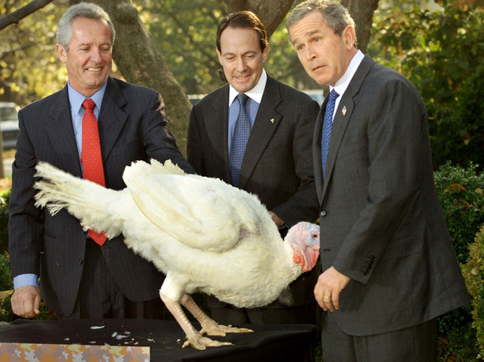 1225870049_bush2 (699x523, 127Kb)