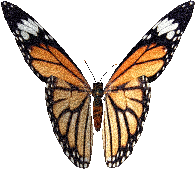  (196x171, 56Kb)