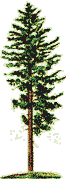  (67x180, 2Kb)