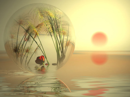 (500x375, 128Kb)