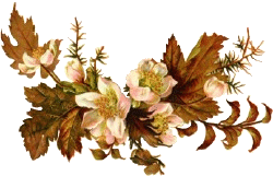 18772758_5565552_vinflore37 (250x161, 23Kb)