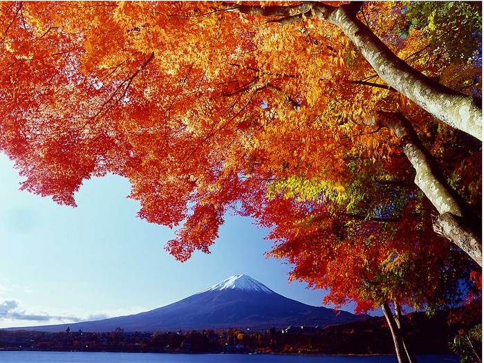  (700x525, 107Kb)