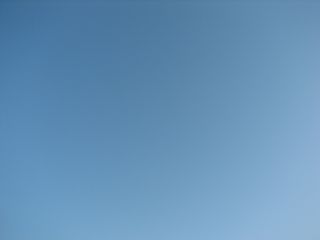 IMG_8637 (320x240, 6Kb)