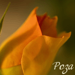  (150x150, 13Kb)