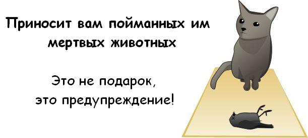 1227014837_cat_05 (611x275, 20Kb)