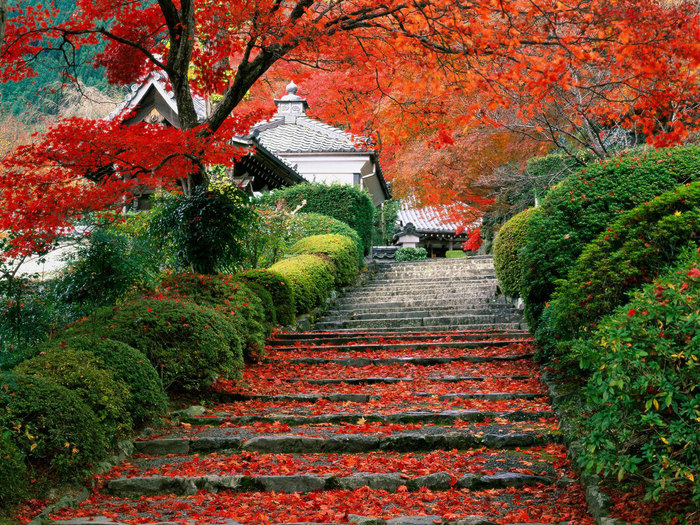 Garden_Staircase_Kyoto_Japa (700x525, 237Kb)