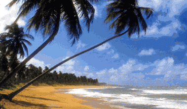 paysage025 (379x222, 53Kb)
