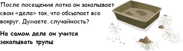  (640x181, 25Kb)