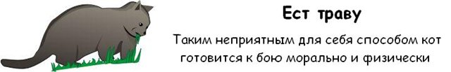  (640x103, 14Kb)