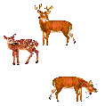 liv7r (118x119, 4Kb)