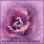  (150x150, 22Kb)